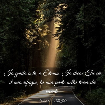 Picture 03 - Salmi 142:5 RIV - Io grido a te, o Eterno. Io dico: Tu sei il mio - Bible Verse Picture