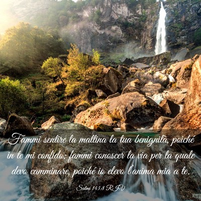 Picture 03 - Salmi 143:8 RIV - Fammi sentire la mattina la tua benignità, - Bible Verse Picture