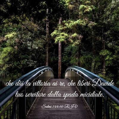 Picture 03 - Salmi 144:10 RIV - che dài la vittoria ai re, che liberi Davide tuo - Bible Verse Picture