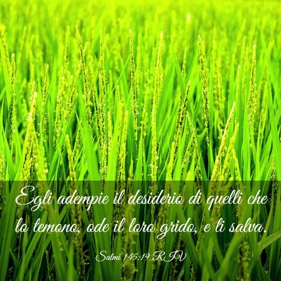 Picture 03 - Salmi 145:19 RIV - Egli adempie il desiderio di quelli che lo - Bible Verse Picture