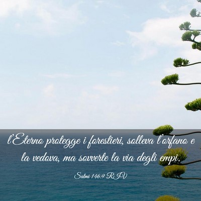 Picture 03 - Salmi 146:9 RIV - l’Eterno protegge i forestieri, solleva - Bible Verse Picture