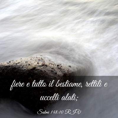 Picture 03 - Salmi 148:10 RIV - fiere e tutto il bestiame, rettili e uccelli - Bible Verse Picture