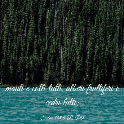 Picture 03 - Salmi 148:9 RIV - monti e colli tutti, alberi fruttiferi e cedri - Bible Verse Picture