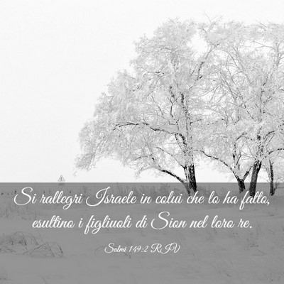 Picture 03 - Salmi 149:2 RIV - Si rallegri Israele in colui che lo ha fatto, - Bible Verse Picture