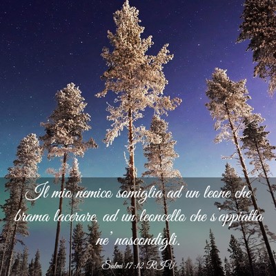 Picture 03 - Salmi 17:12 RIV - Il mio nemico somiglia ad un leone che brama - Bible Verse Picture