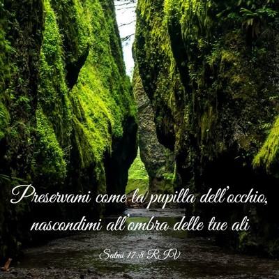 Picture 03 - Salmi 17:8 RIV - Preservami come la pupilla dell’occhio, - Bible Verse Picture