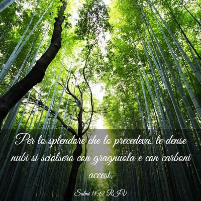 Picture 03 - Salmi 18:12 RIV - Per lo splendore che lo precedeva, le dense nubi - Bible Verse Picture