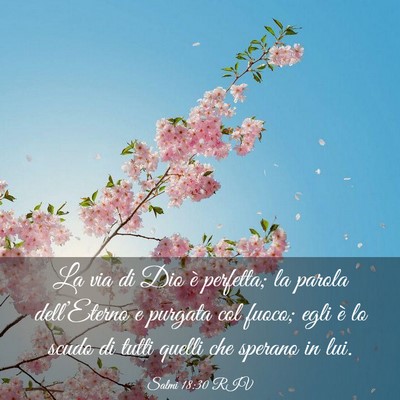 Picture 03 - Salmi 18:30 RIV - La via di Dio è perfetta; la parola - Bible Verse Picture