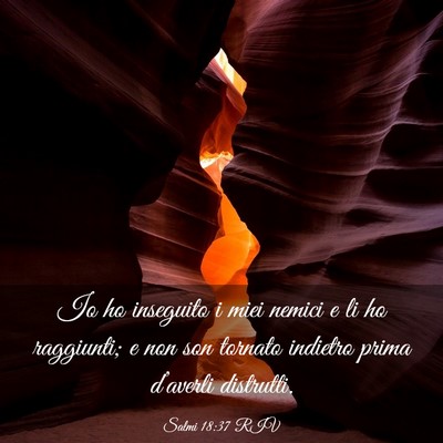 Picture 03 - Salmi 18:37 RIV - Io ho inseguito i miei nemici e li ho raggiunti; - Bible Verse Picture