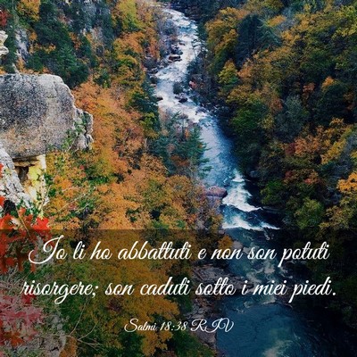 Picture 03 - Salmi 18:38 RIV - Io li ho abbattuti e non son potuti risorgere; - Bible Verse Picture