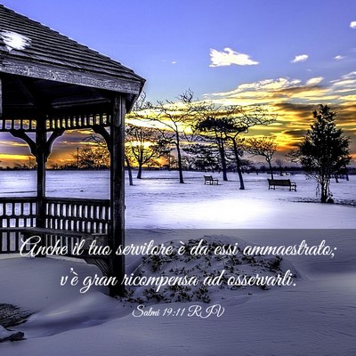 Picture 03 - Salmi 19:11 RIV - Anche il tuo servitore è da essi ammaestrato; - Bible Verse Picture