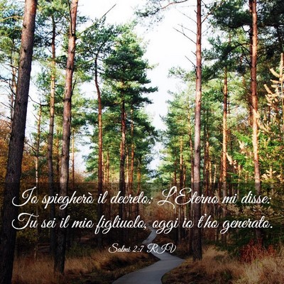 Picture 03 - Salmi 2:7 RIV - Io spiegherò il decreto: L’Eterno mi disse: Tu - Bible Verse Picture