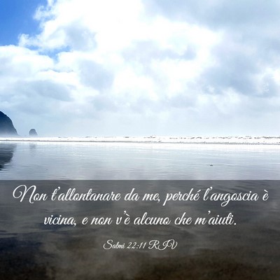 Picture 03 - Salmi 22:11 RIV - Non t’allontanare da me, perché l’angoscia - Bible Verse Picture