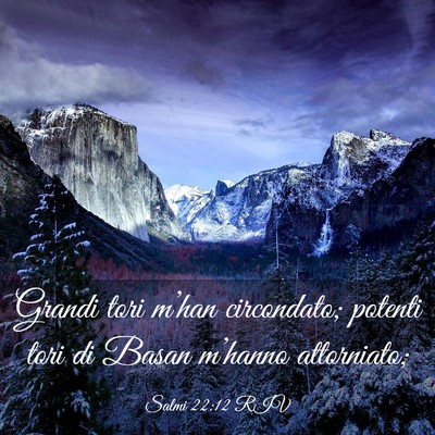 Picture 03 - Salmi 22:12 RIV - Grandi tori m’han circondato; potenti tori di - Bible Verse Picture
