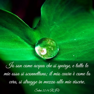 Picture 03 - Salmi 22:14 RIV - Io son come acqua che si sparge, e tutte le mie - Bible Verse Picture