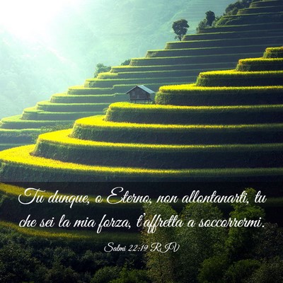 Picture 03 - Salmi 22:19 RIV - Tu dunque, o Eterno, non allontanarti, tu che sei - Bible Verse Picture