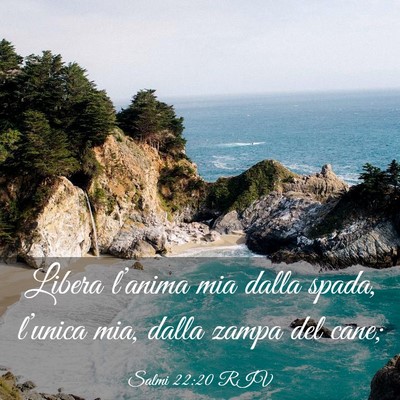 Picture 03 - Salmi 22:20 RIV - Libera l’anima mia dalla spada, l’unica mia, - Bible Verse Picture
