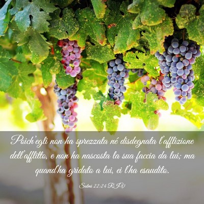Picture 03 - Salmi 22:24 RIV - Poich’egli non ha sprezzata né disdegnata - Bible Verse Picture