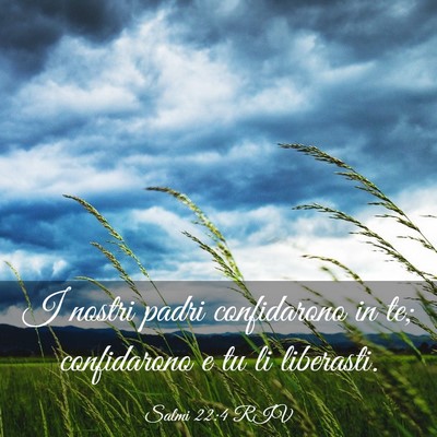 Picture 03 - Salmi 22:4 RIV - I nostri padri confidarono in te; confidarono e - Bible Verse Picture
