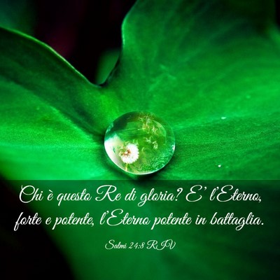 Picture 03 - Salmi 24:8 RIV - Chi è questo Re di gloria? E’ l’Eterno, - Bible Verse Picture