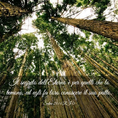Picture 03 - Salmi 25:14 RIV - Il segreto dell’Eterno è per quelli che lo - Bible Verse Picture