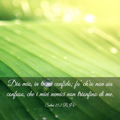 Picture 03 - Salmi 25:2 RIV - Dio mio, in te mi confido; fa’ ch’io non sia - Bible Verse Picture