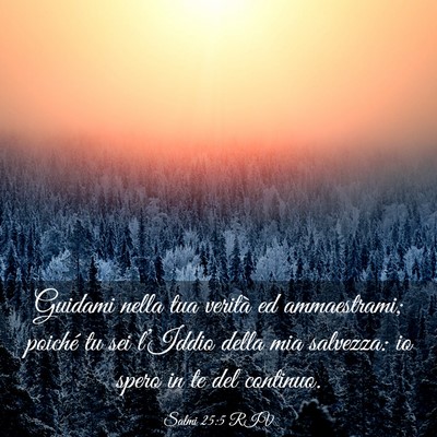 Picture 03 - Salmi 25:5 RIV - Guidami nella tua verità ed ammaestrami; poiché - Bible Verse Picture