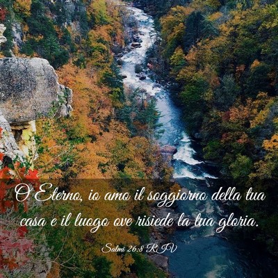 Picture 03 - Salmi 26:8 RIV - O Eterno, io amo il soggiorno della tua casa e il - Bible Verse Picture
