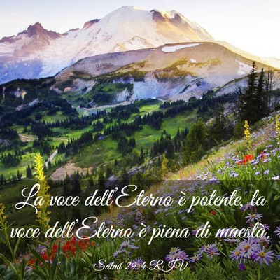 Picture 03 - Salmi 29:4 RIV - La voce dell’Eterno è potente, la voce - Bible Verse Picture