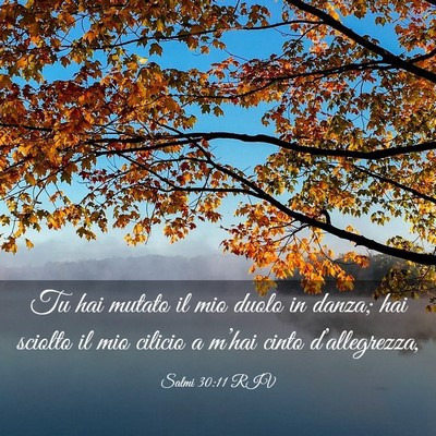 Picture 03 - Salmi 30:11 RIV - Tu hai mutato il mio duolo in danza; hai sciolto - Bible Verse Picture