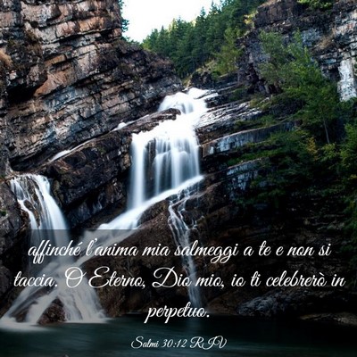 Picture 03 - Salmi 30:12 RIV - affinché l’anima mia salmeggi a te e non si - Bible Verse Picture