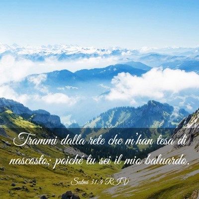 Picture 03 - Salmi 31:4 RIV - Trammi dalla rete che m’han tesa di nascosto; - Bible Verse Picture