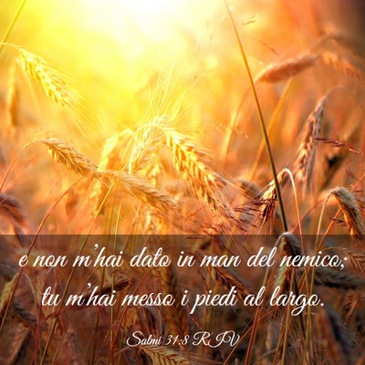 Picture 03 - Salmi 31:8 RIV - e non m’hai dato in man del nemico; tu m’hai - Bible Verse Picture