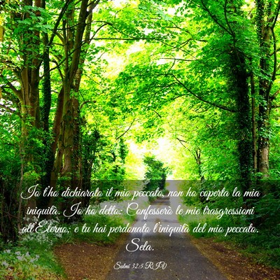 Picture 03 - Salmi 32:5 RIV - Io t’ho dichiarato il mio peccato, non ho - Bible Verse Picture
