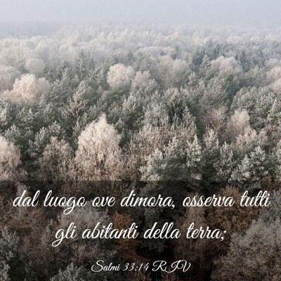 Picture 03 - Salmi 33:14 RIV - dal luogo ove dimora, osserva tutti gli abitanti - Bible Verse Picture