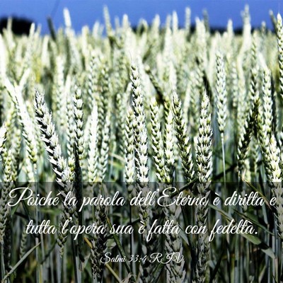 Picture 03 - Salmi 33:4 RIV - Poiché la parola dell’Eterno è diritta e - Bible Verse Picture
