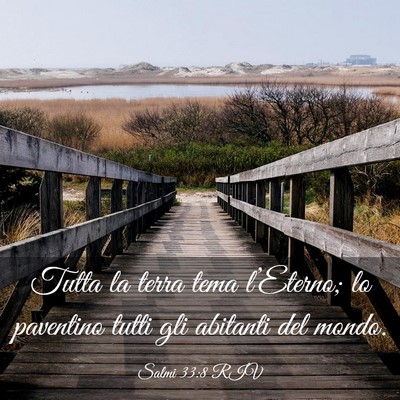 Picture 03 - Salmi 33:8 RIV - Tutta la terra tema l’Eterno; lo paventino - Bible Verse Picture