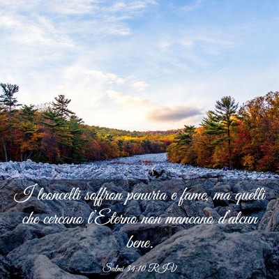 Picture 03 - Salmi 34:10 RIV - I leoncelli soffron penuria e fame, ma quelli che - Bible Verse Picture