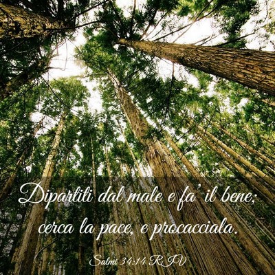 Picture 03 - Salmi 34:14 RIV - Dipartiti dal male e fa’ il bene; cerca la - Bible Verse Picture