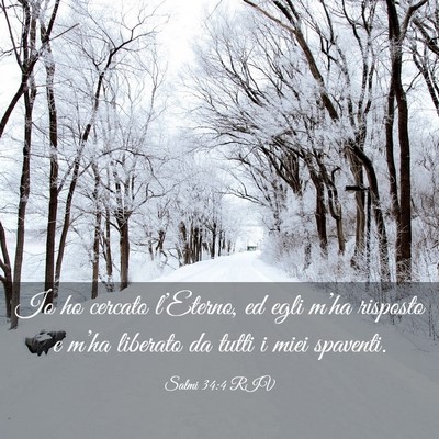 Picture 03 - Salmi 34:4 RIV - Io ho cercato l’Eterno, ed egli m’ha risposto - Bible Verse Picture