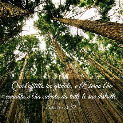 Picture 03 - Salmi 34:6 RIV - Quest’afflitto ha gridato, e l’Eterno l’ha - Bible Verse Picture