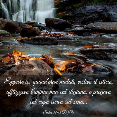 Picture 03 - Salmi 35:13 RIV - Eppure io, quand’eran malati, vestivo il - Bible Verse Picture