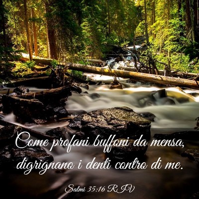 Picture 03 - Salmi 35:16 RIV - Come profani buffoni da mensa, digrignano i denti - Bible Verse Picture