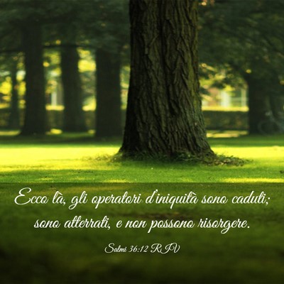 Picture 03 - Salmi 36:12 RIV - Ecco là, gli operatori d’iniquità sono - Bible Verse Picture