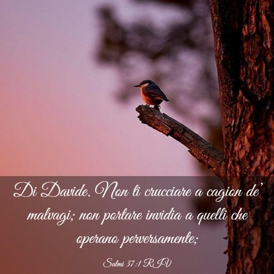 Picture 03 - Salmi 37:1 RIV - Di Davide. Non ti crucciare a cagion de’ - Bible Verse Picture