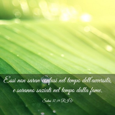 Picture 03 - Salmi 37:19 RIV - Essi non saran confusi nel tempo - Bible Verse Picture