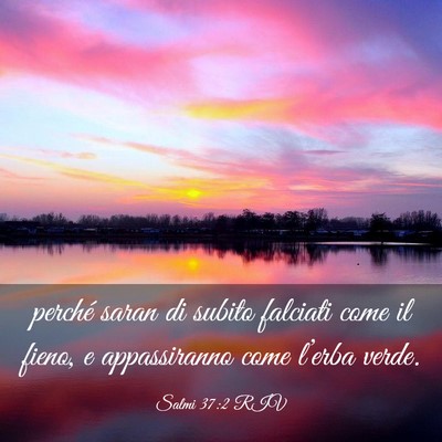Picture 03 - Salmi 37:2 RIV - perché saran di subito falciati come il fieno, e - Bible Verse Picture