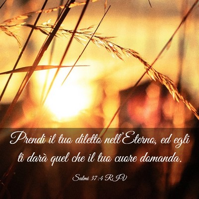 Picture 03 - Salmi 37:4 RIV - Prendi il tuo diletto nell’Eterno, ed egli ti - Bible Verse Picture