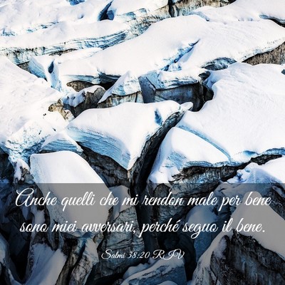 Picture 03 - Salmi 38:20 RIV - Anche quelli che mi rendon male per bene sono - Bible Verse Picture