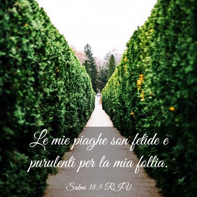 Picture 03 - Salmi 38:5 RIV - Le mie piaghe son fetide e purulenti per la mia - Bible Verse Picture